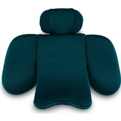 RECARO Salia 125 Select Sweet Curry
