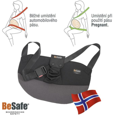 BeSafe Pregnant