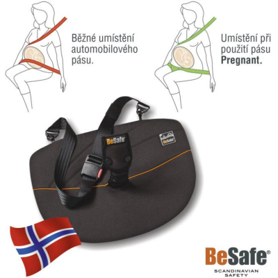 BeSafe Pregnant iZi fix