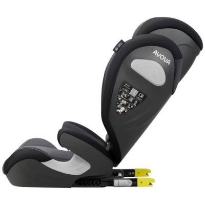 AVOVA Sora-Fix 2024 Gold Jungle, 100-150 cm