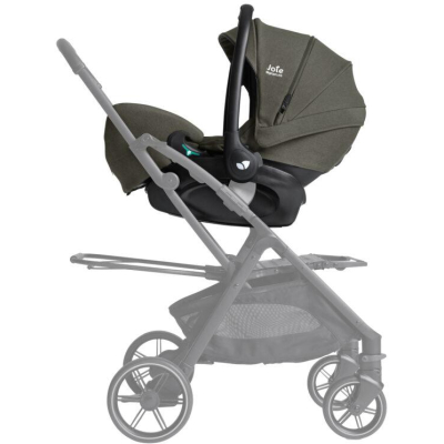 Joie i-Level™ Pro Signature evergreen