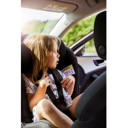 Axkid Minikid Sky Grey Premium 0-25 kg model 2020